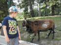 Výlet do Bojníc 22 Výlet do Bojníc 22