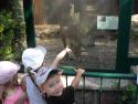 Návšteva ZOO Návšteva ZOO
