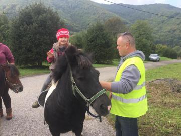 koníky naši kamaráti koníky naši kamaráti