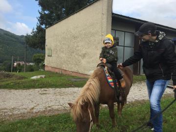 koníky naši kamaráti koníky naši kamaráti