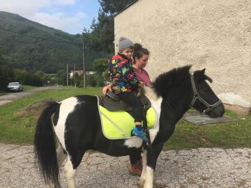 koníky naši kamaráti koníky naši kamaráti